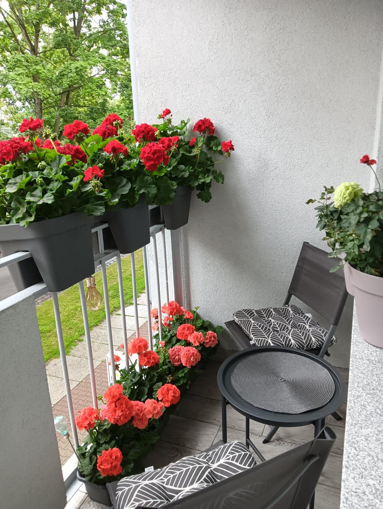 Apartament Ale Laba Колобжег Экстерьер фото